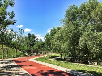 疏解整治促提升|北京大兴清退污染企业建起美丽湿地公园